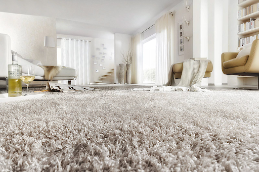 Regular Carpet Cleaning Services