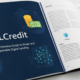 QLCredit