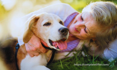 The Benefits of Speaking With a Pet Psychic When You Need Clarity