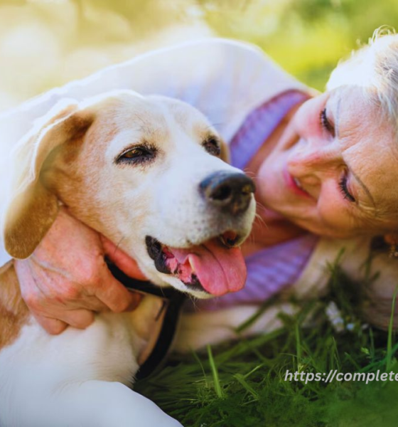 The Benefits of Speaking With a Pet Psychic When You Need Clarity