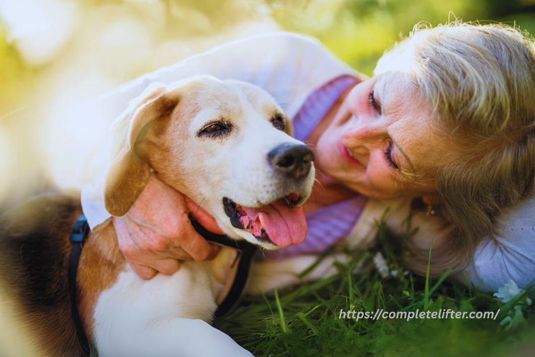 The Benefits of Speaking With a Pet Psychic When You Need Clarity