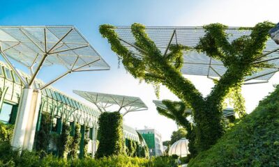 Building a Greener Future