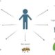 Holistic Approaches to Managing Autoimmune Conditions