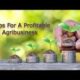 Starting an Agribusiness the Smart Way